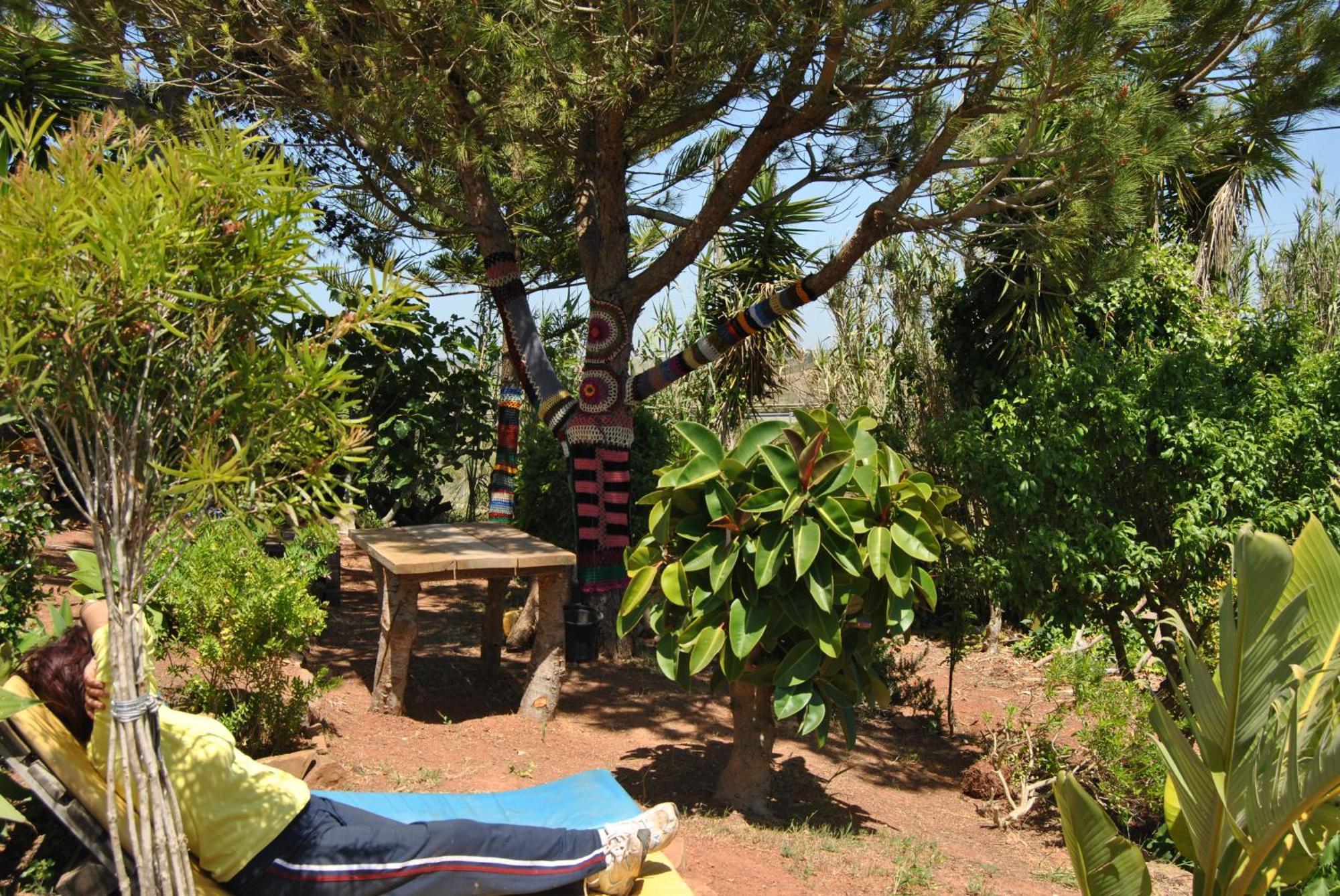 Vivenda Familia Pedro Otel Vila do Bispo Dış mekan fotoğraf